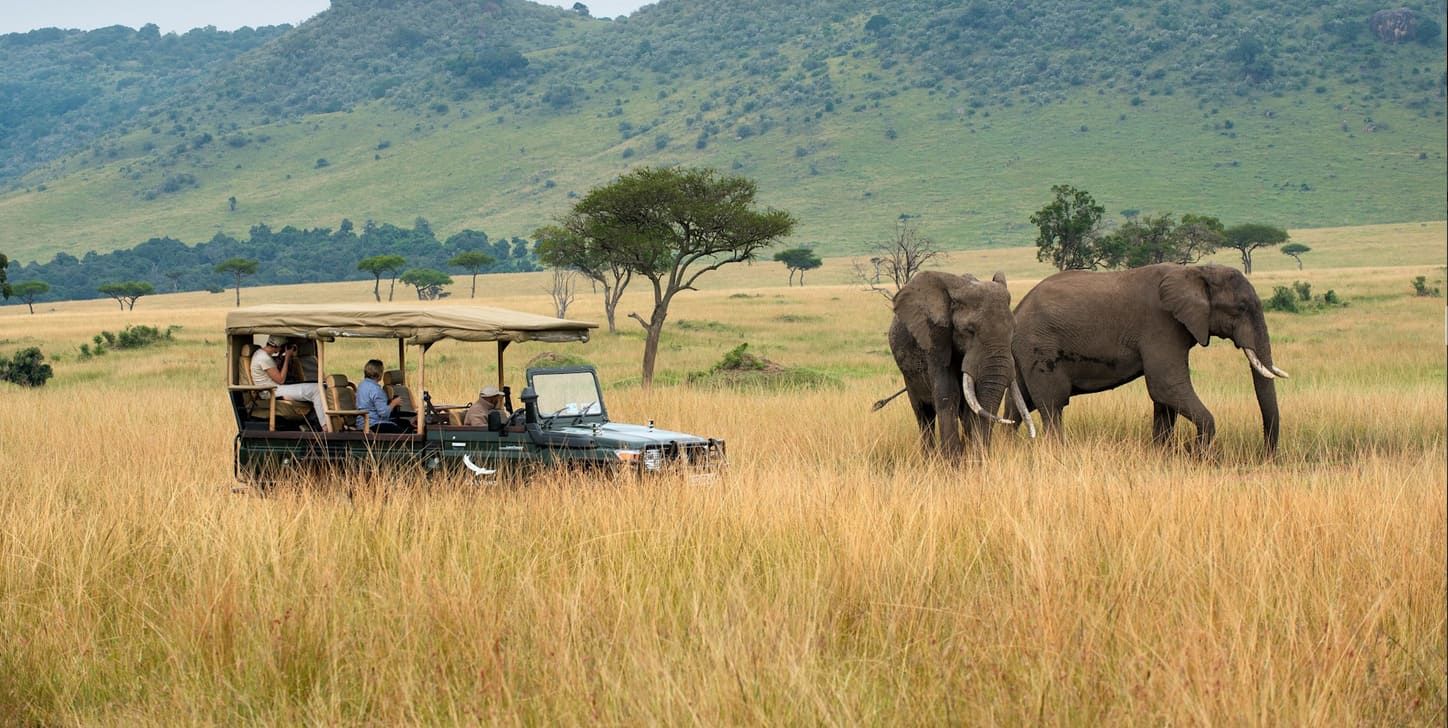 Amboseli-laikipia-kenya-safari.jpg