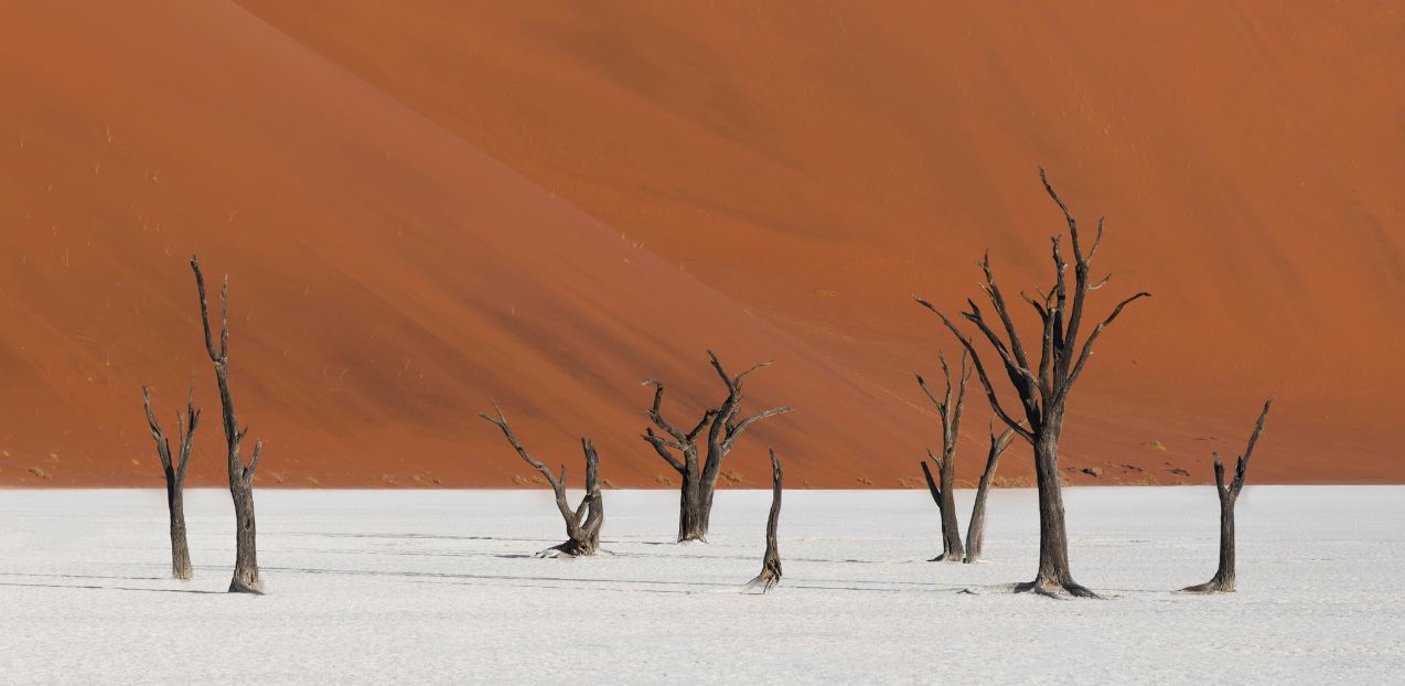 Dead-Vlei-Naukluft-National-Park-Namibia,.jpg