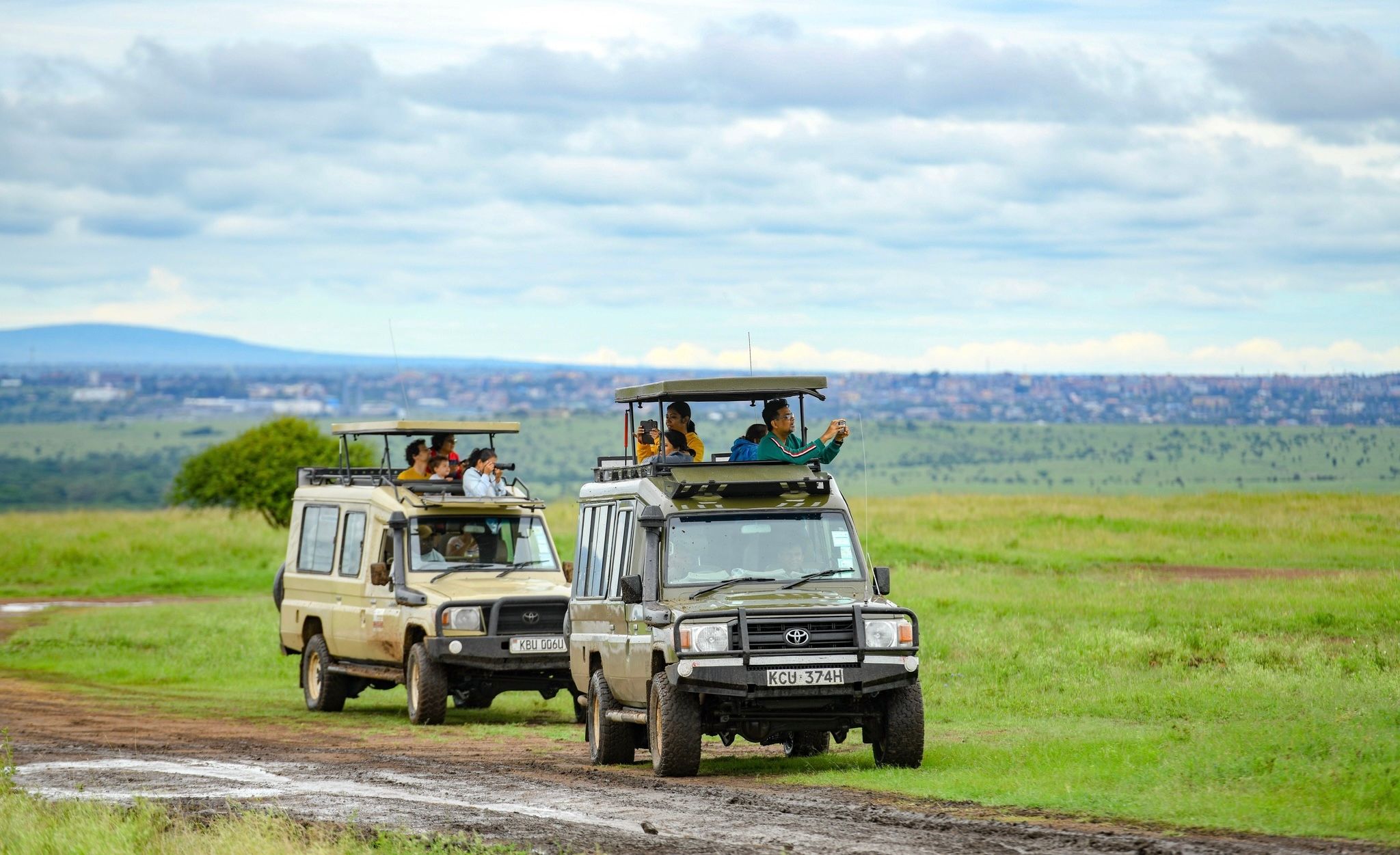 Serengeti safari