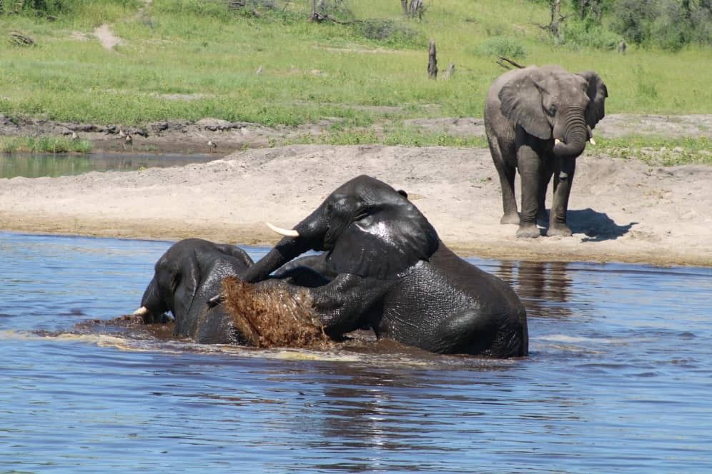 Chobe, Botswana