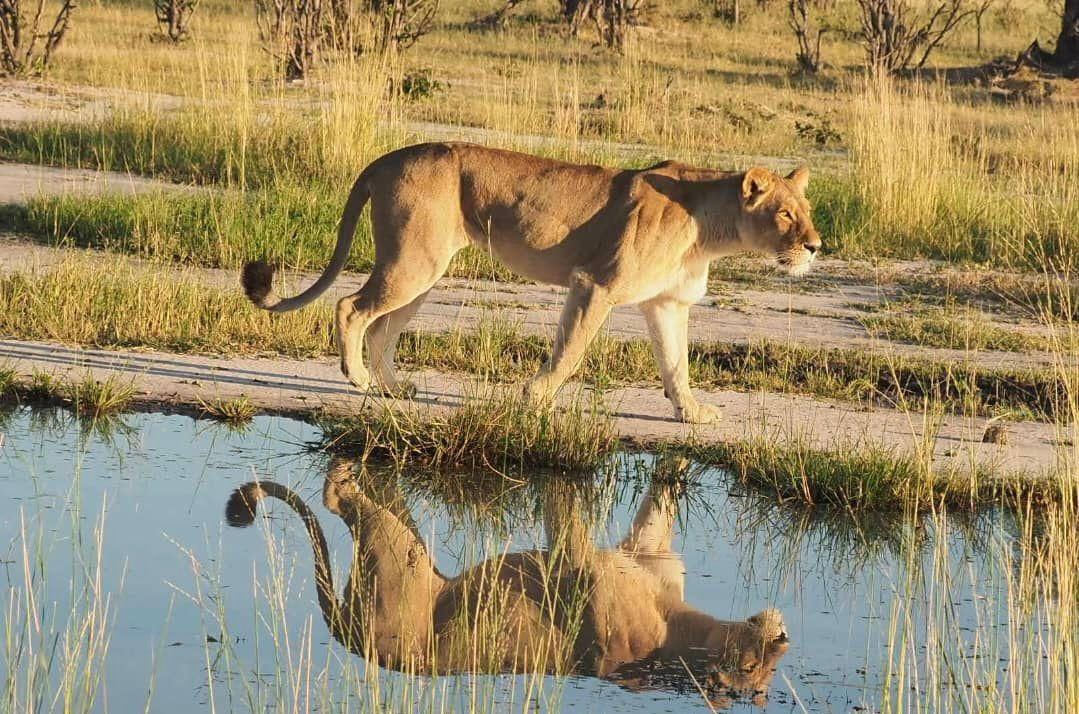 Chobe, Botswana