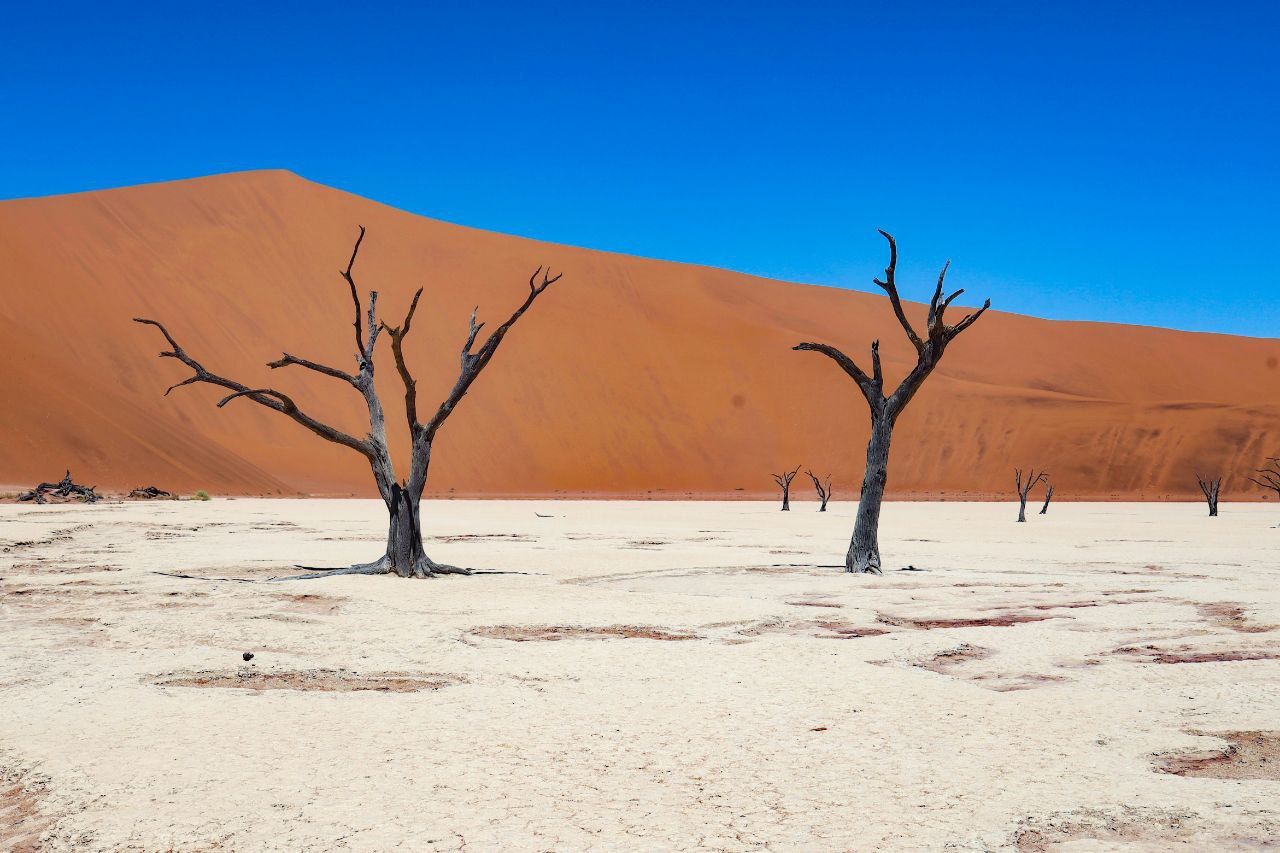 Sossusvlei-Namibia.jpg