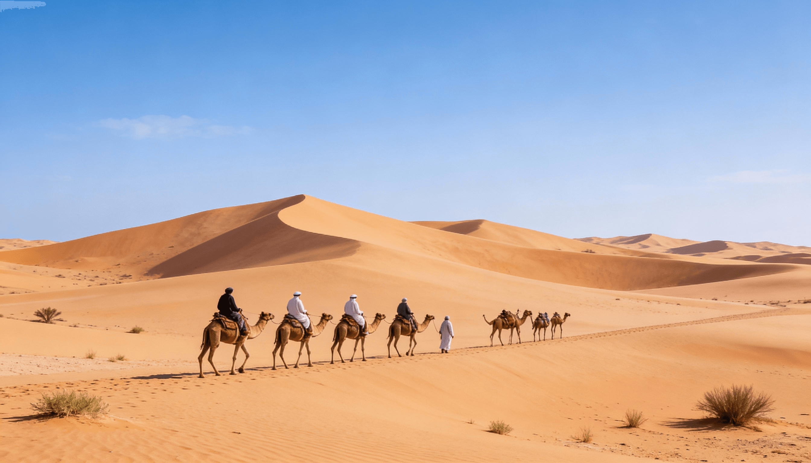 desert adventure.png